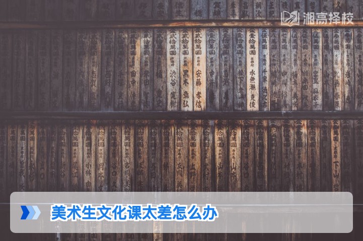 2026年湖南美术生文化课提分攻略：从薄弱到达标系统解决方案