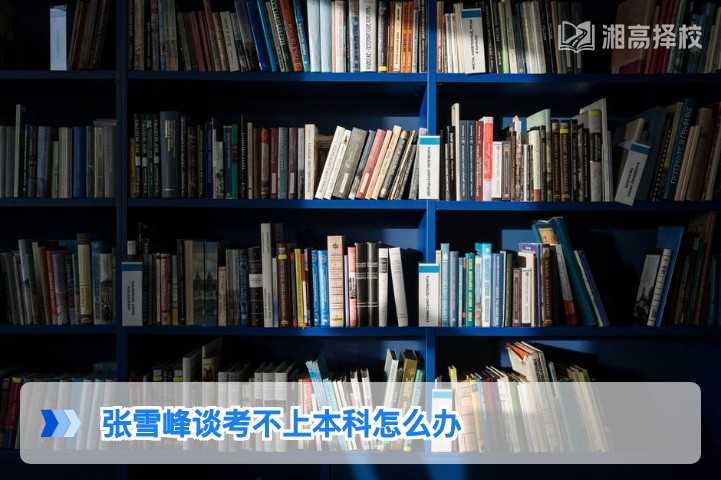 2026年湖南考生考不上本科怎么办 结合张雪峰观点的落地解决方案