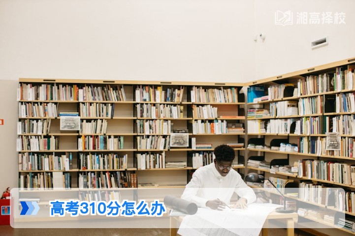 2026年湖南高考310分复读规划与升学路径全指南