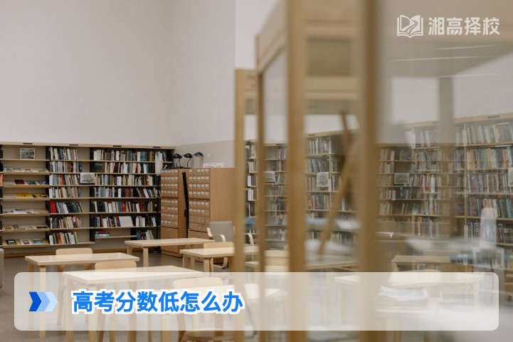 2026年湖南高考分数低的4种可行解决方案及落地指南