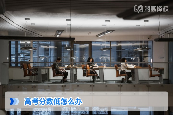 2026年湖南高考分数低的复读与升学规划全指南