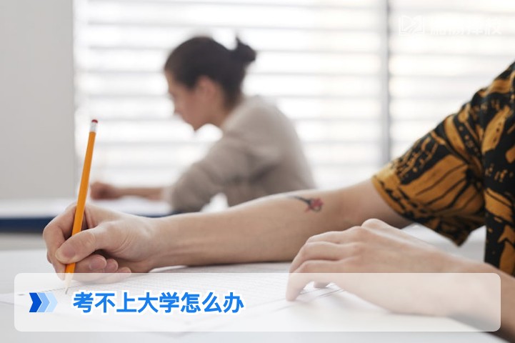 2026年湖南考不上大学的5条务实解决方案，附本地择校与政策指南