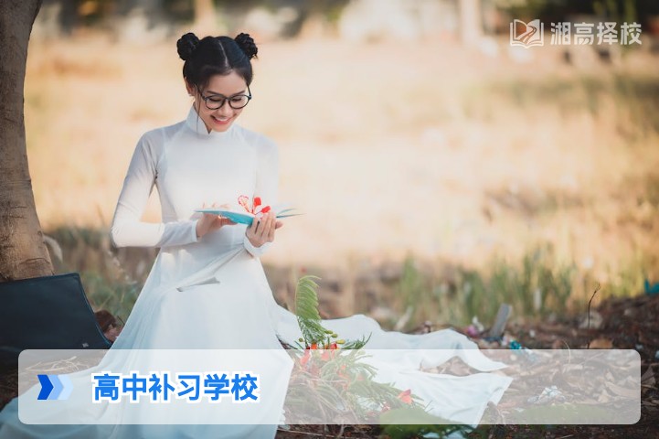 2026年湖南高中补习学校全指南:择校标准、政策合规与提分效果解析