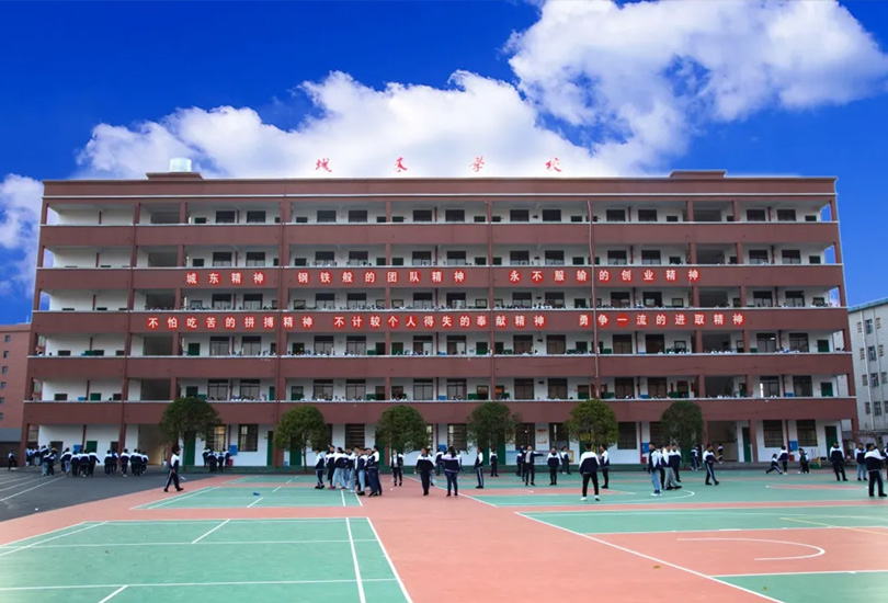 武冈市诚东高级中学
