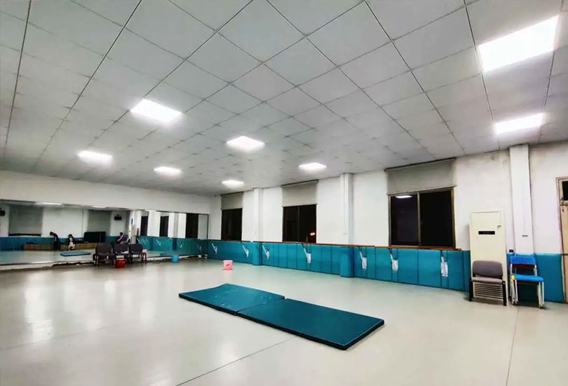 邵阳市迪航艺术高级中学