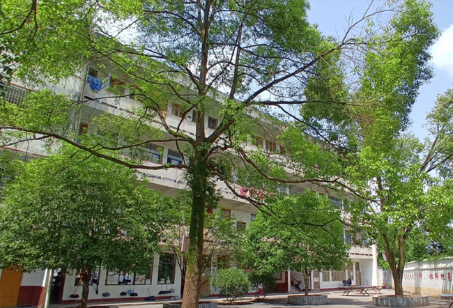 武冈市武思高级中学