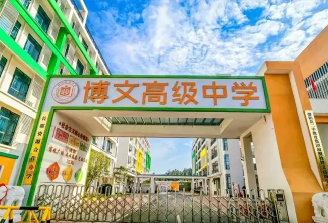 邵阳县博文高级中学